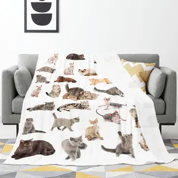 Плед для кошек, фланелевый флисовый Ультрамягкий пушистый плед, унисекс, легкое комфортное одеяло для дивана, гостиной и кемпинга